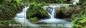 Preview: Duschrückwand "Grüner Wasserfall"